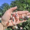 Perlas Agua dulce - Imagen 2